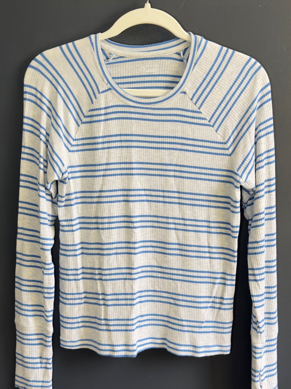 aerie Blue & White Striped Long-Sleeve Crewneck Top